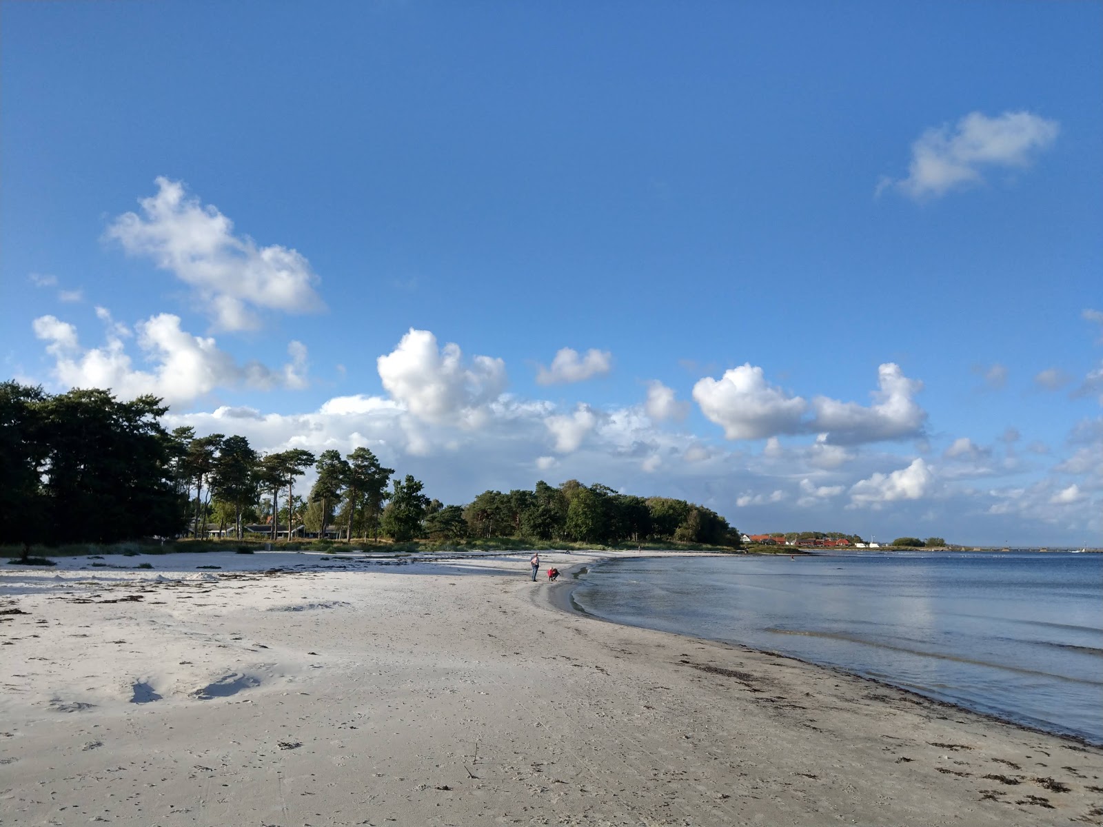 Foto di Snogebaek Strand con una superficie del sabbia beige