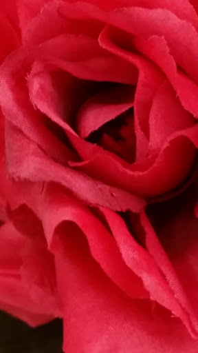 Fabric Store «Jo-Ann Fabrics and Crafts», reviews and photos, 2481 E State St, Hermitage, PA 16148, USA