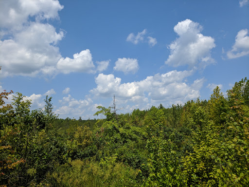 Nature Preserve «Beanblossom Bottoms Nature Preserve - Sycamore Land Trust», reviews and photos, N Woodall Rd, Ellettsville, IN 47429, USA