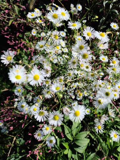 Bird Watching Area «Coffee Creek Watershed Preserve», reviews and photos, 2401 Village Point, Chesterton, IN 46304, USA