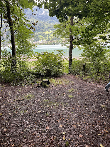 Kommentare und Rezensionen über Camping Gäsi