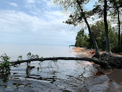 Friendly Valley Beach'in fotoğrafı vahşi alan