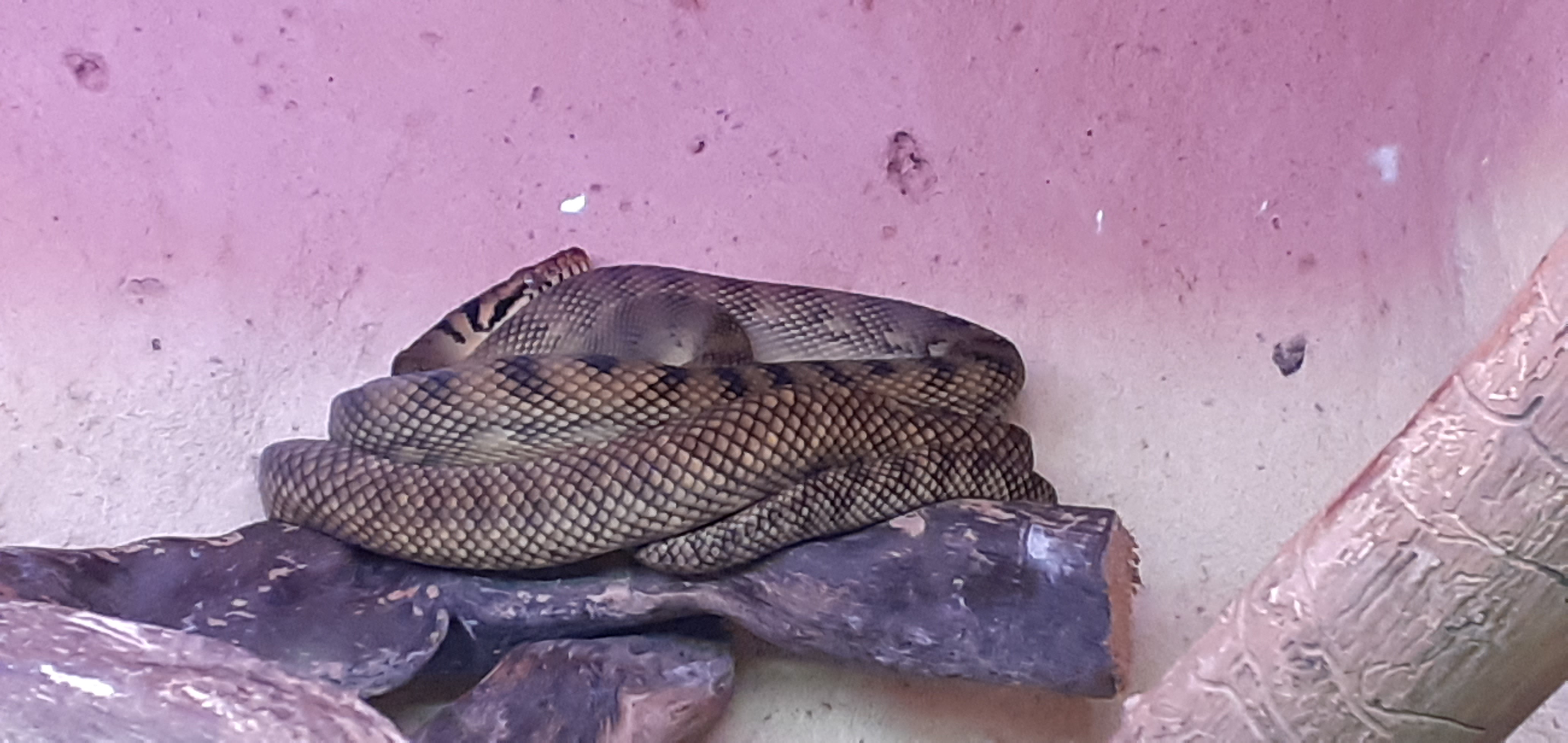 Photo n° 7 de l'avis de xavier.. fait le 15/08/2022 à 19:59