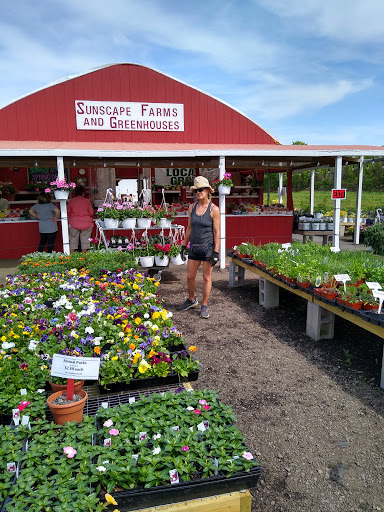 Produce Market «Sunscape Farms», reviews and photos, 1420 Creek St, Rochester, NY 14625, USA