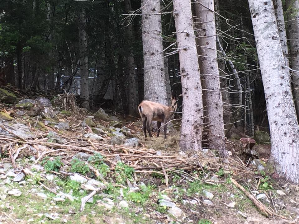 Photo n° 2 de l'avis de Frederic.s fait le 30/08/2018 à 08:15