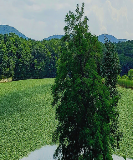 History Museum «West Point Foundry Preserve», reviews and photos, 80 Kemble Ave, Cold Spring, NY 10516, USA