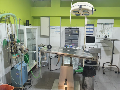 Centro Veterinario Veravet en Vera
