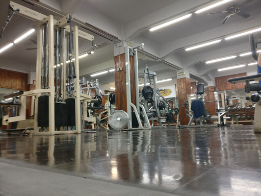 Golden Sport en Bilbao, Vizcaya