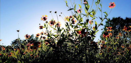 Park «Gateway Park», reviews and photos, 2500 N Jim Miller Rd, Dallas, TX 75227, USA