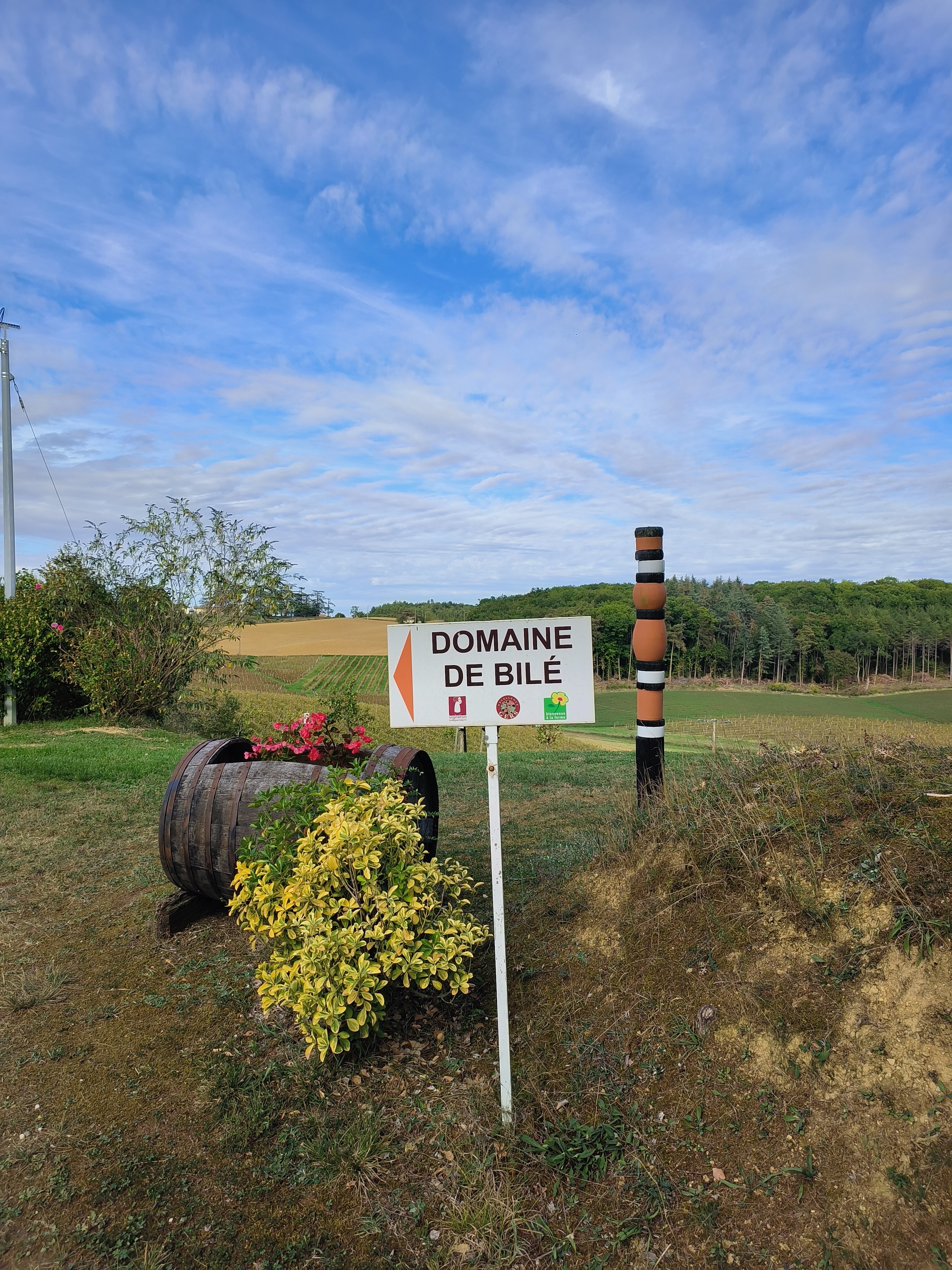 Photo n° 1 de l'avis de DonMontecristo4. fait le 20/10/2023 à 06:43