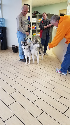 VCA PetMed Animal Hospital image