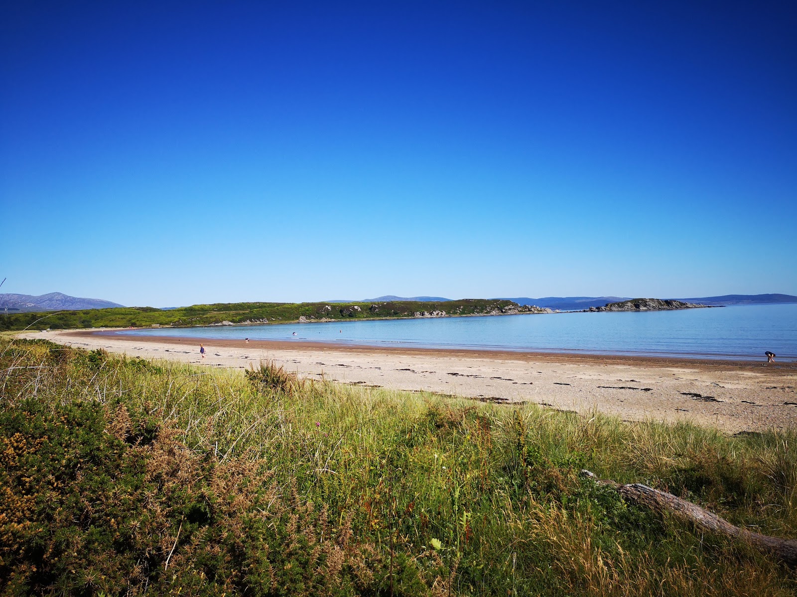 Zdjęcie Carradale Bay Beach z poziomem czystości wysoki