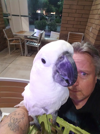 Coffee Shop «The Coffee Bean & Tea Leaf», reviews and photos, 7407 W Bell Rd, Peoria, AZ 85382, USA