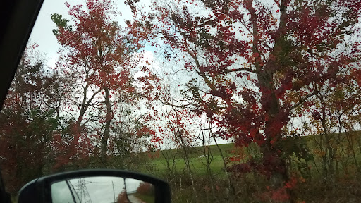 Variety Store «Five Below», reviews and photos, 6600 Spring Stuebner Rd Suite 156, Spring, TX 77389, USA