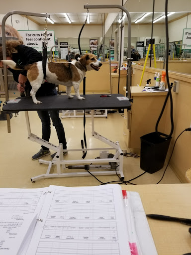 Pet Supply Store «Pet Supplies Plus», reviews and photos, 605 Grand Central Ave, Vienna, WV 26105, USA