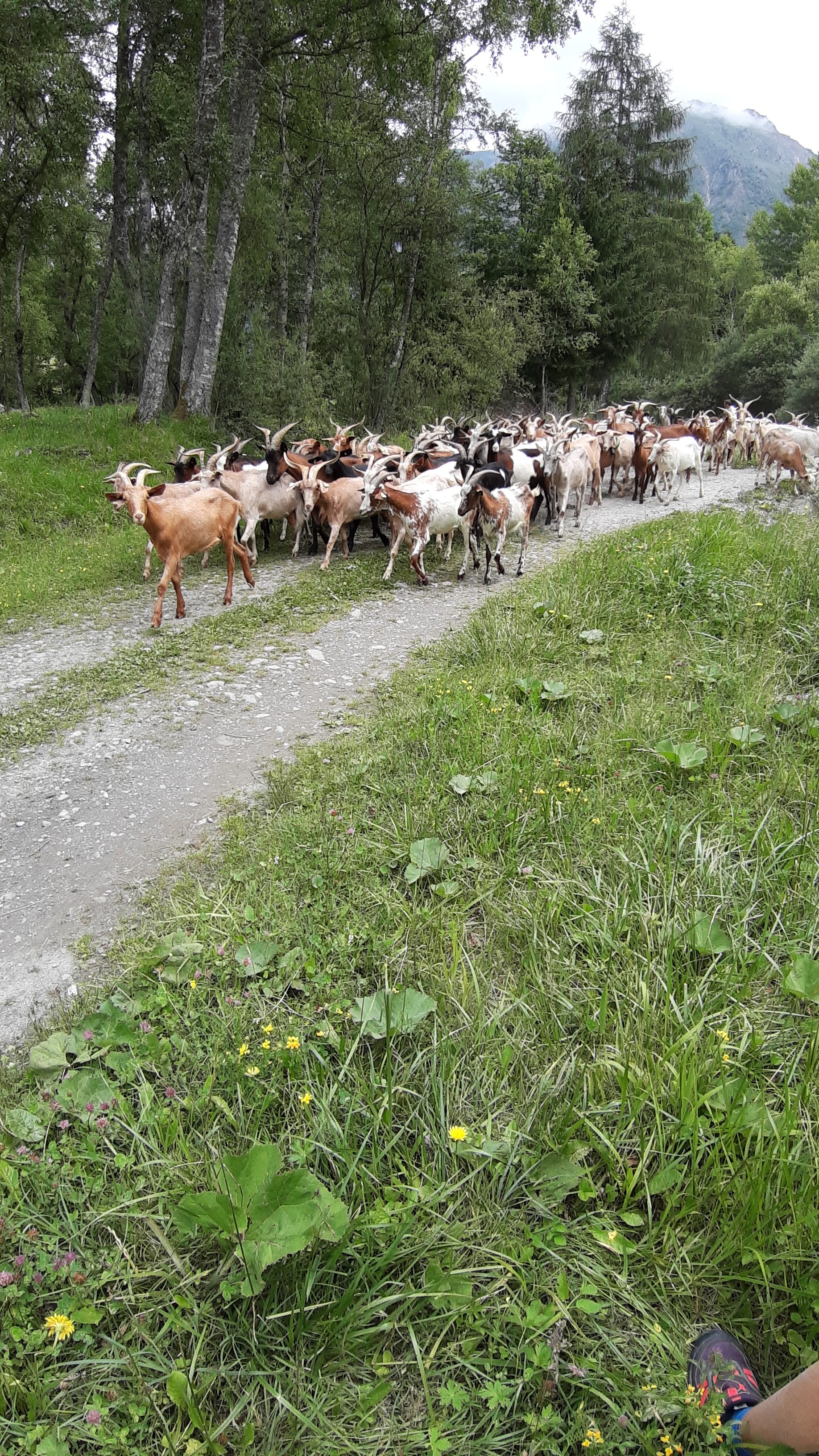 Photo n° 11 de l'avis de Sophie.e fait le 24/07/2019 à 06:31
