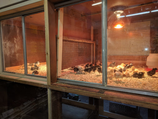 Pet Supply Store «Western Feed & Pet Supply», reviews and photos, 5935 Don Way, Carmichael, CA 95608, USA