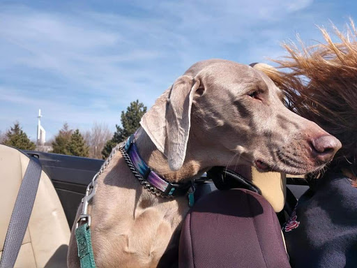 601 Center Pkwy, Yorkville, IL 60560, USA