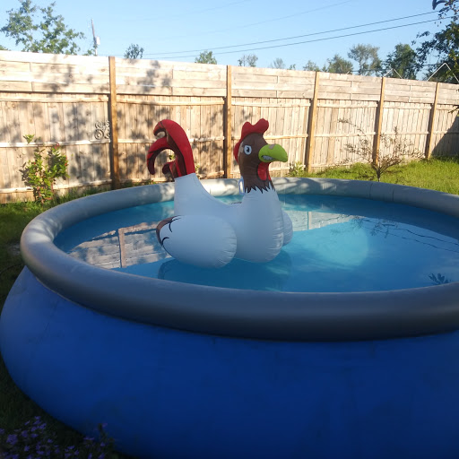 Hardware Store «Lynn Haven Ace Hardware», reviews and photos, 520 Ohio Ave, Lynn Haven, FL 32444, USA