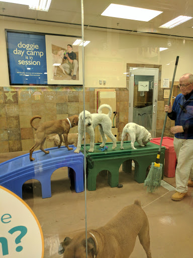Pet Supply Store «PetSmart», reviews and photos, 288 West Ave, Stamford, CT 06902, USA