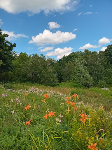 Tully Trail