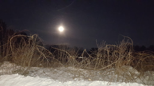 State Park «Lowell-Dracut-Tyngsborough State Forest», reviews and photos, Trotting Park Rd, Dracut, MA 01826, USA