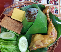 Ponyo photo
