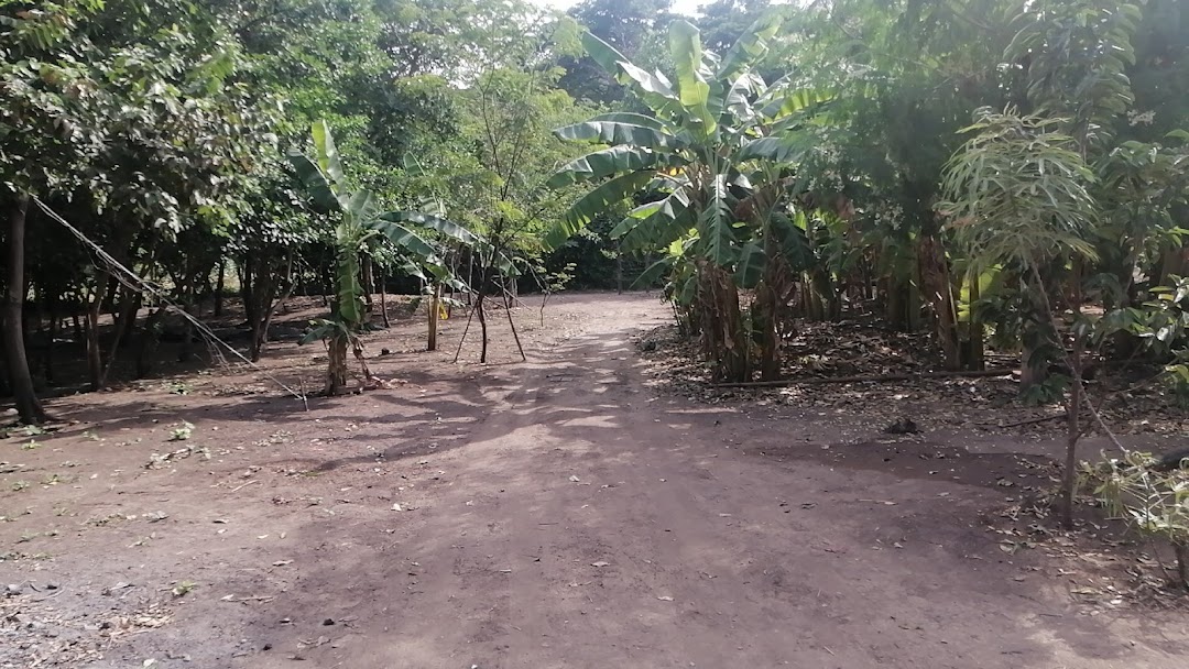 Finca el uvito