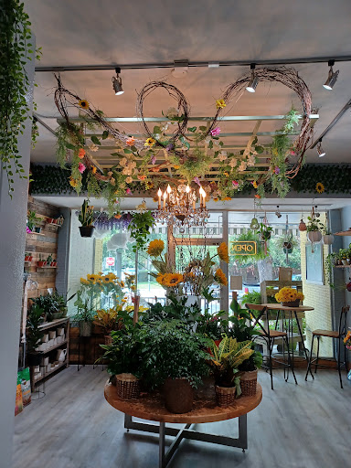 Florist «The Sunflower Florist Inc.», reviews and photos, 1908 Colley Ave, Norfolk, VA 23517, USA