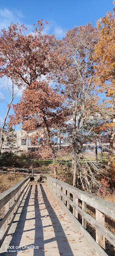 Nature Preserve «The Nature Trail and Cranberry Bog», reviews and photos, 252 Patriot Pl, Foxborough, MA 02035, USA