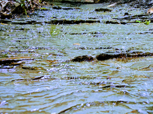 Park «Gorge Metro Park», reviews and photos, 1160 Front St, Cuyahoga Falls, OH 44223, USA