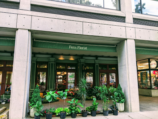 Florists specialised in bonsai in Boston