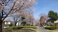 白はけ緑地