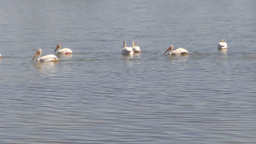 Golf Course «Headwaters Public Golf Course», reviews and photos, 225 N 7th Ave E, Three Forks, MT 59752, USA