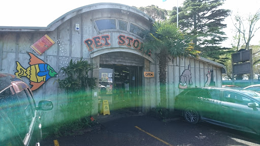 Exotic animal shops in Auckland