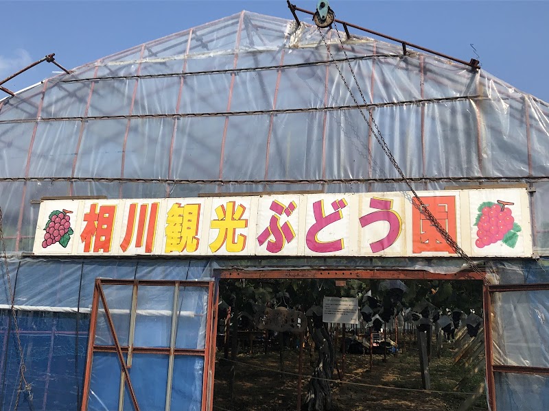 相川観光ぶどう園 第1農場