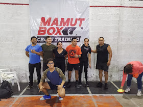 Mamut Box Crossfit