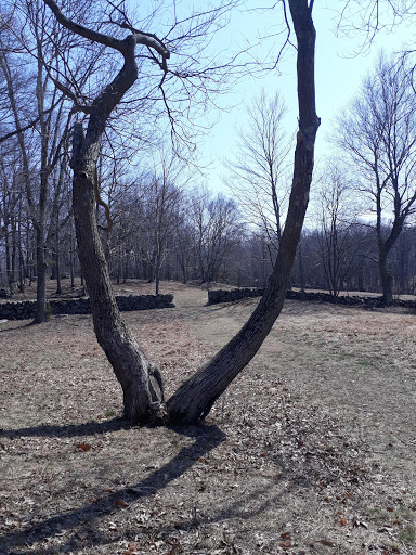 Historical Place «Weir Farm National Historic Site», reviews and photos, 735 Nod Hill Rd, Wilton, CT 06897, USA