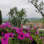 Photo n°2 de l'avis de Stefania.r fait le 04/07/2021 à 13:28 sur le  Degusto à Neive