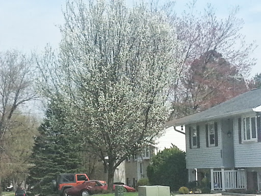 Shopping Mall «Reisterstown Shopping Center», reviews and photos, 11961 Reisterstown Rd, Reisterstown, MD 21136, USA