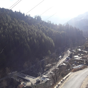 Darka Bus Stop photo