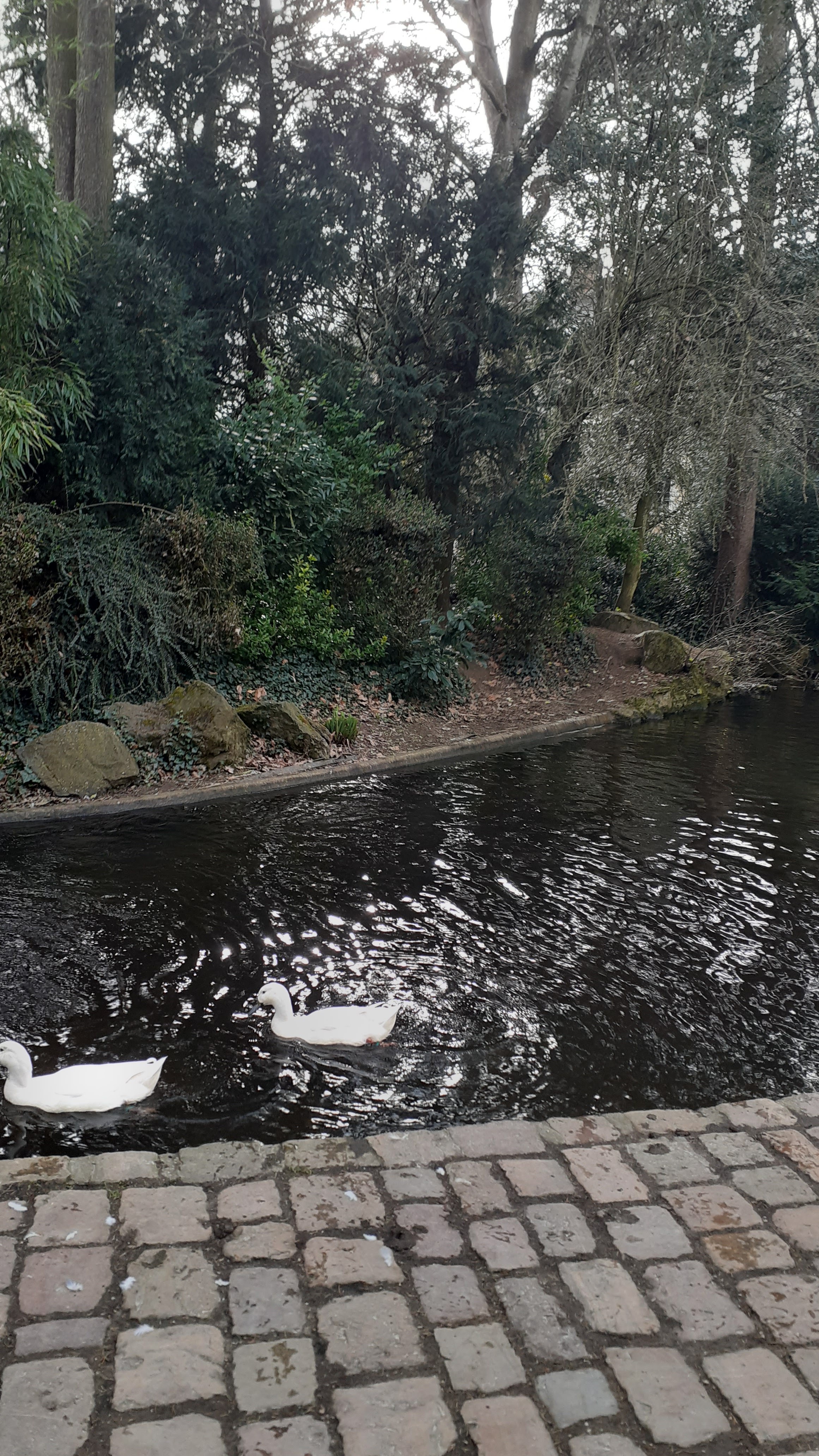 Photo n° 8 de l'avis de Aurélie.a fait le 22/02/2022 à 17:32