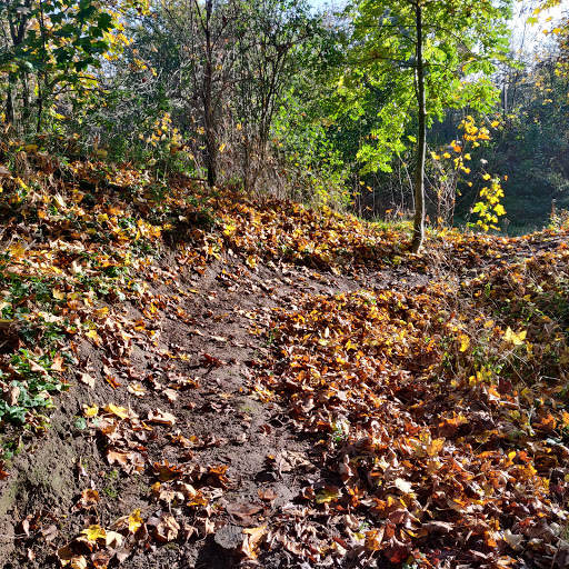 Lossen MTB spor in Klippinge, Stevns