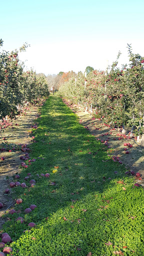 Produce Market «Parks Farms», reviews and photos, 525 NJ-24, Chester, NJ 07930, USA