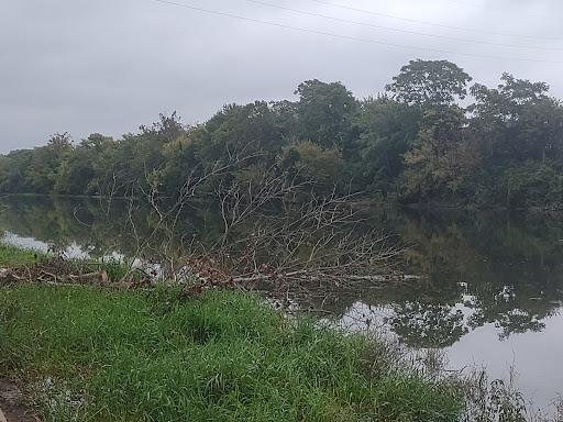 Park «Riverside Park», reviews and photos, 2420 E Riverside Dr, Indianapolis, IN 46208, USA