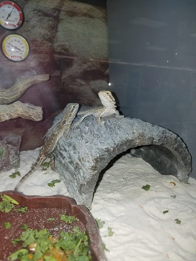 Pet Supply Store «Petco Animal Supplies», reviews and photos, 7721 Mentor Ave, Mentor, OH 44060, USA