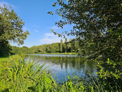 Etang D' Angelier à Dampierre-sous-Bouhy