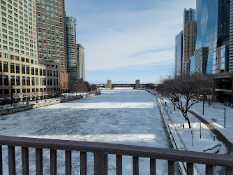 Chicago Rising from the Lake