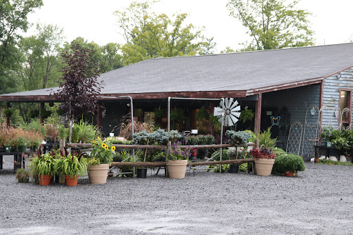 Brookside Nursery image 6