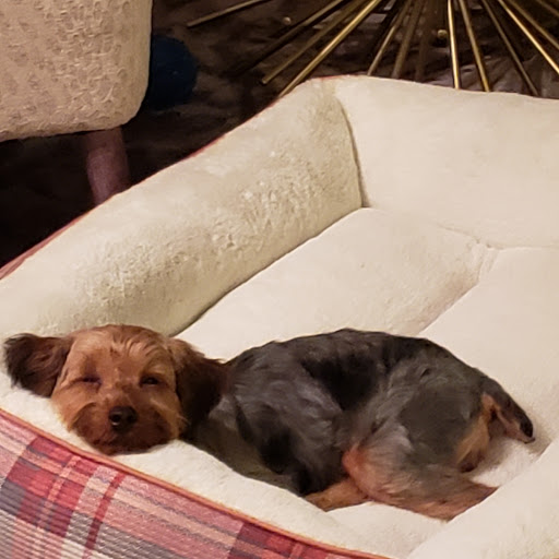 Pet Supply Store «Petco Animal Supplies», reviews and photos, 103 Commerce Way a, Woburn, MA 01801, USA